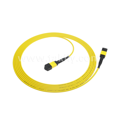 データセンター FTTX 光ファイバーケーブル MPO パッチコード MTP トランクケーブル 装甲 SM MM ジャンパー