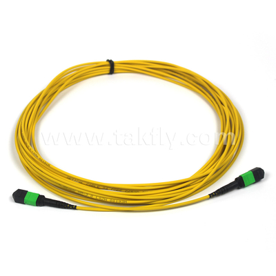 MTP-12 APC 女性からMTP-12 APC 女性 シングルモード OS2 プレニウム OFNPタイプA MPOパッチコード