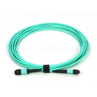 エリート マルチモード OM3 50/125 プレニウム OFNP B型 MPO パッチコード 30m 100ft MTP-12 PC 女性からMTP-12 PC 女性