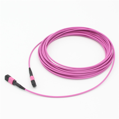 エリートマルチモードOM4 50/125,Plenum OFNPタイプB MPOパッチコード 1m 3ft MTP-12 PC 女性からMTP-12 PC 女性