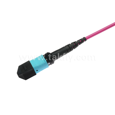 エリートマルチモードOM4 50/125,Plenum OFNPタイプB MPOパッチコード 1m 3ft MTP-12 PC 女性からMTP-12 PC 女性