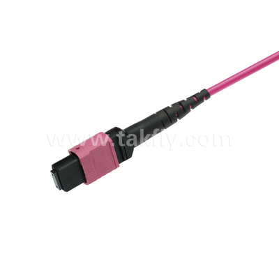 エリートマルチモードOM4 50/125 完全OFNPタイプB MPOパッチコード 3.0mmケーブル 10m 33ft MTP-12 PC 女性からMTP-12 PC 女性