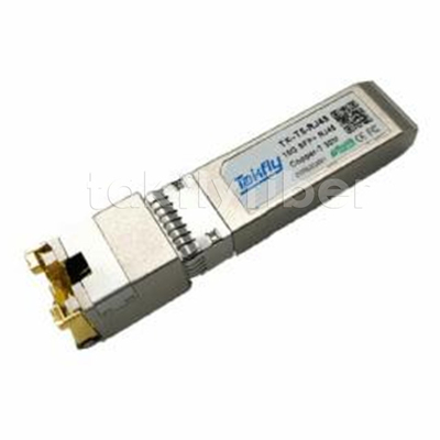 10GBASE-T SFP+ 銅トランシーバー コンパクト RJ-45 接続装置