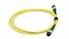MPO-MPO ファイバーパッチコード データセンター 8-24 コア