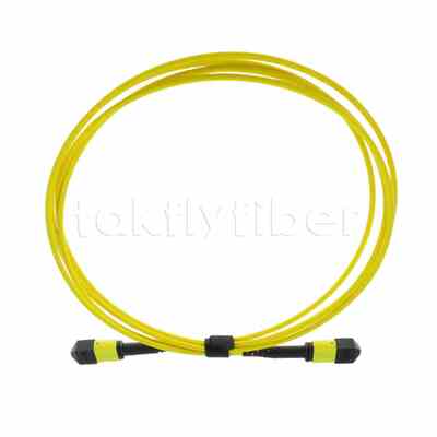 5M MTP® MPOトランクケーブル、MTP®-12 APC (メス) - MTP®-12 APC (メス)、12芯、OS2プレナム (OFNP)、最大0.35dB