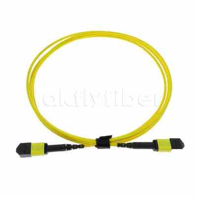 5M MTP® MPOトランクケーブル、MTP®-12 APC (メス) - MTP®-12 APC (メス)、12芯、OS2プレナム (OFNP)、最大0.35dB