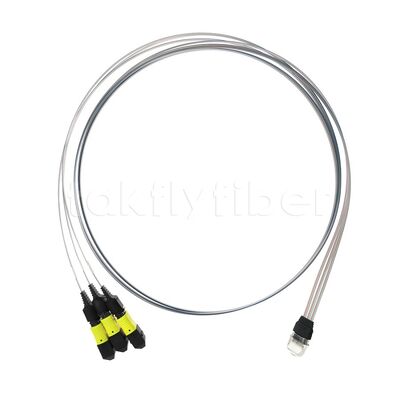 3x12F MTP - 36CH Fiber Array FA Assembly with High Transmission Rate Low Consumption and High Stability and Reliability