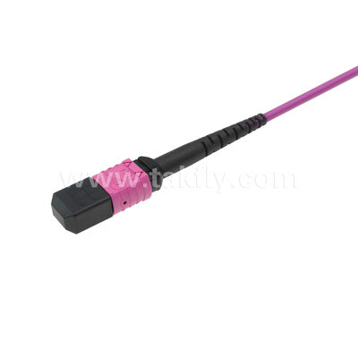 MPO MTP パッチコード マルチモード OM4 トランクケーブル 24F データセンター AI 通信ケーブルのための光ファイバー