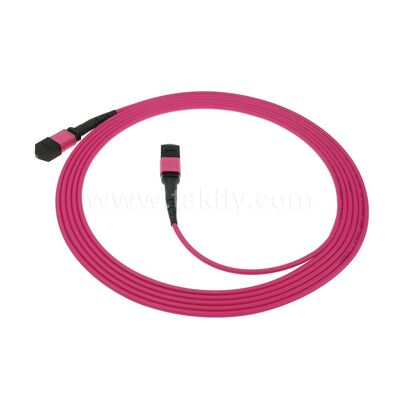 MPO MTP パッチコード マルチモード OM4 トランクケーブル 24F データセンター AI 通信ケーブルのための光ファイバー