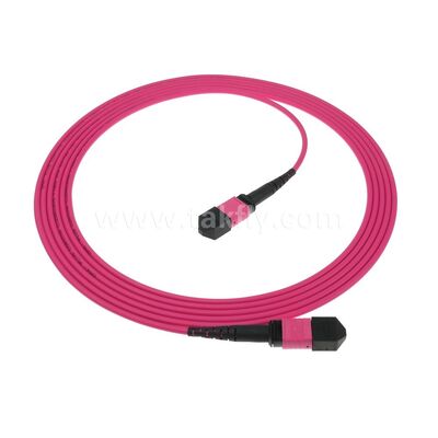 MPO MTP パッチコード マルチモード OM4 トランクケーブル 24F データセンター AI 通信ケーブルのための光ファイバー
