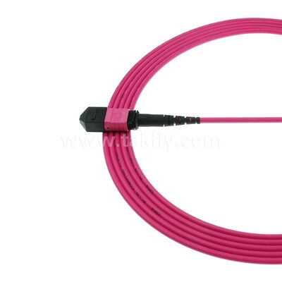 MPO MTP パッチコード マルチモード OM4 トランクケーブル 24F データセンター AI 通信ケーブルのための光ファイバー