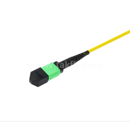 MPO/MTP Single-mode (SM) Patch Cord – 4C to 72C, High-Density Multi-fiber Trunk for 40G/100G/400G Networks