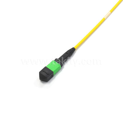 アムフェノール カスタマイズされた288ファイバー 0.35dB 最大挿入損失 単機種OS2 MPO トランクケーブル データセンター