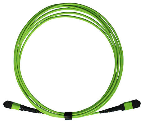 400G MPO MTP女性MM 50/125 OM5 3.0mm LSZHの繊維光学Patchcord