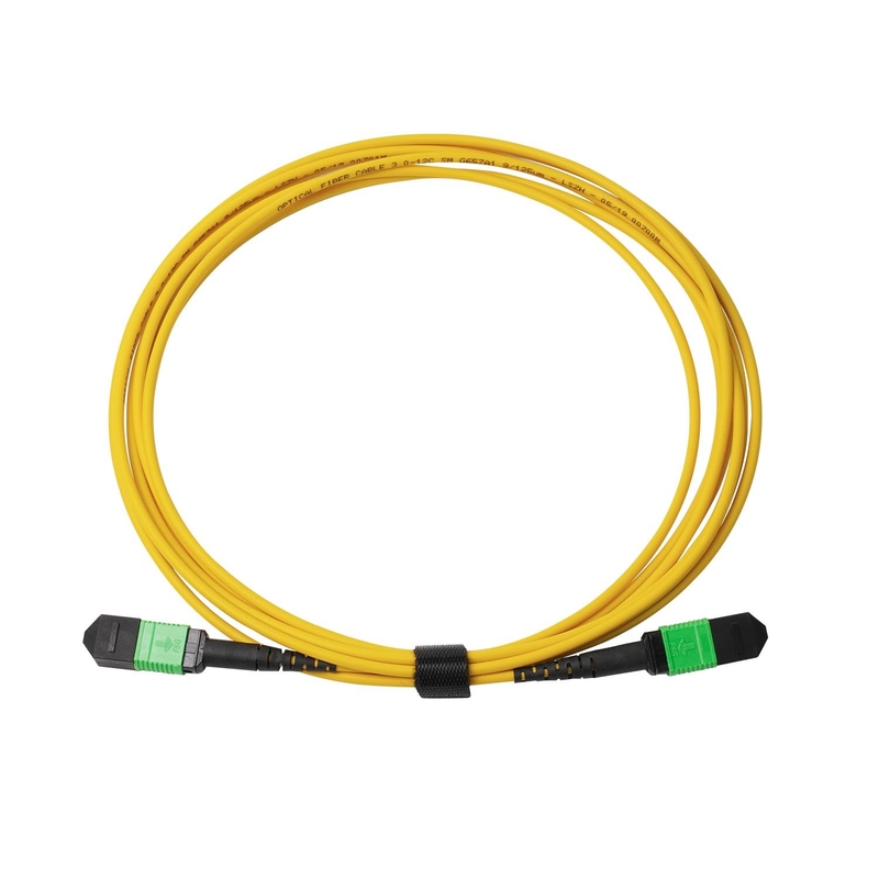 3m 10ft MTP-12 APC 女性からMTP-12 APC 女性 シングルモード OS2 Plenum MPO パッチコード 黄色