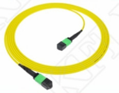 2m 7ft MTP パッチコード プレニウム OFNP MPO パッチコード 3.0mm MTP 12F APC 女性 エリート