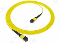 MTP-12 APC 女性からMTP-12 APC 女性 シングルモード OS2 プレニウム OFNPタイプA MPOパッチコード 5m 16ft