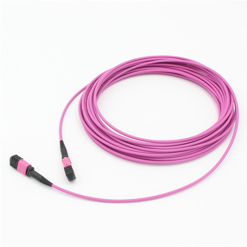 エリートマルチモードOM4 50/125,Plenum OFNPタイプB MPOパッチコード 1m 3ft MTP-12 PC 女性からMTP-12 PC 女性