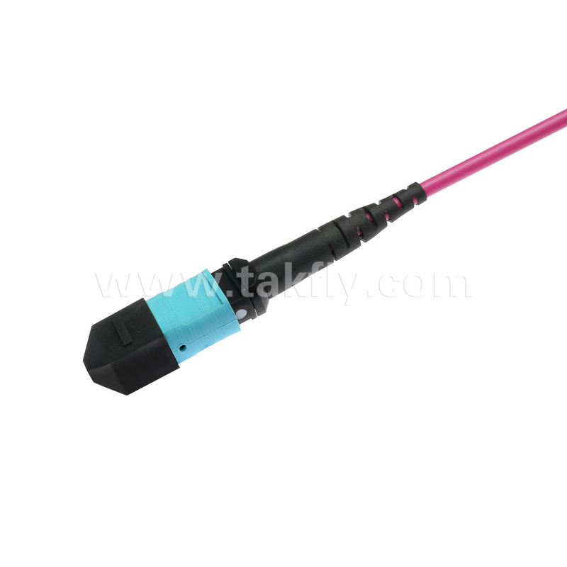 エリートマルチモードOM4 50/125,Plenum OFNPタイプB MPOパッチコード 3m 10ft MTP-12 PC 女性からMTP-12 PC 女性