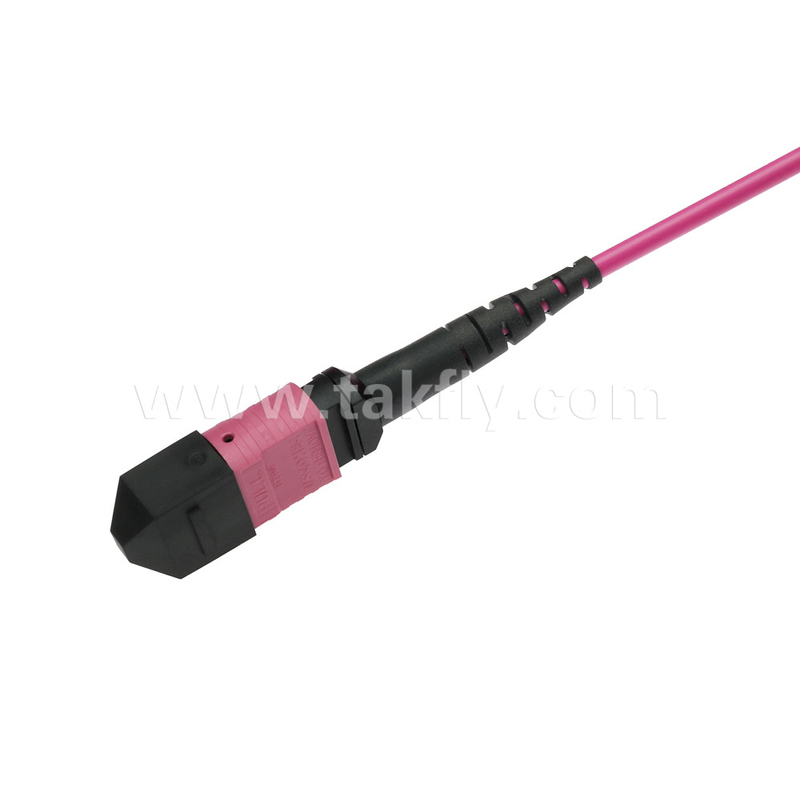 エリートマルチモードOM4 50/125,Plenum OFNPタイプB MPOパッチコード 5m 16ft MTP-12 PC 女性からMTP-12 PC 女性