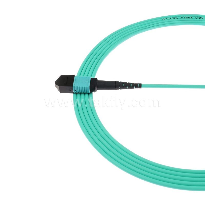 MPO MTP パッチコード MM OM3 トランクケーブル 12F データセンターのAI通信ケーブル用光ファイバー